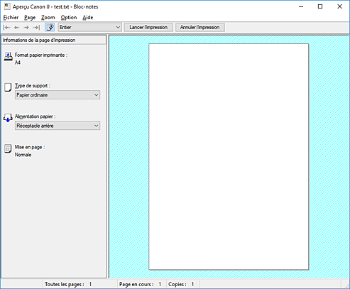 figure&nbsp;: Aperçu Canon IJ