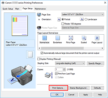 figura:Print Options... din fila Page Setup