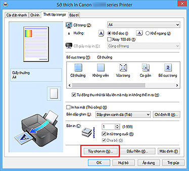 hình: Tùy chọn in... trên tab Thiết lập trang