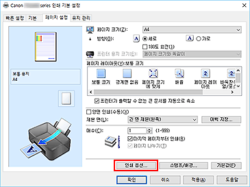 그림: [페이지 설정] 탭의 [인쇄 옵션...]