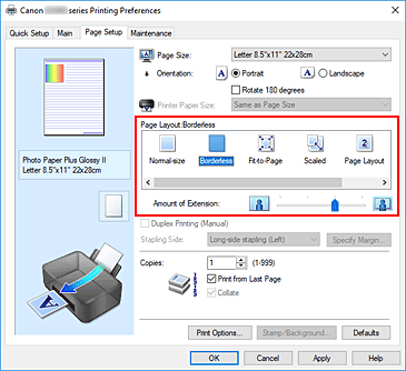 figura:Selectaţi Borderless pentru Page Layout din fila Page Setup