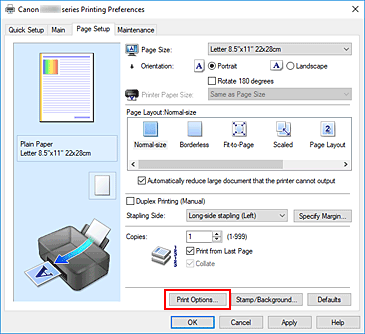 slika: možnost Print Options... na kartici Page Setup