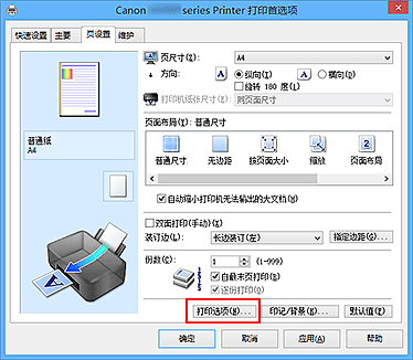 插图：“页设置”选项卡上的“打印选项...”