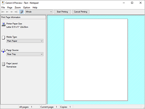 Imagen: Vista preliminar de Canon IJ