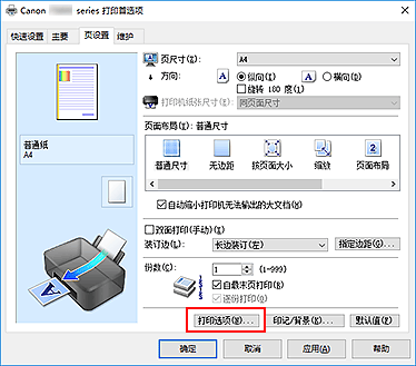 插图：“页设置”选项卡上的“打印选项...”