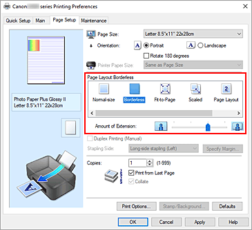 figure:Select Borderless for Page Layout on the Page Setup tab