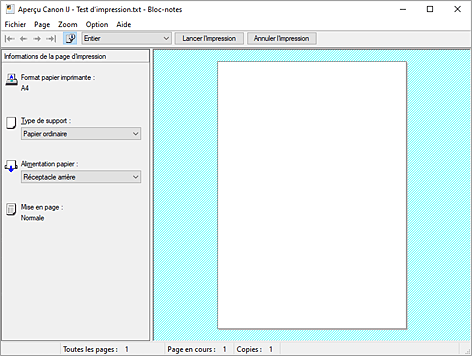 figure&nbsp;: Aperçu Canon IJ