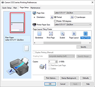 pav.: Parametrų peržiūros rodinys puslapio sąrankos skirtuke