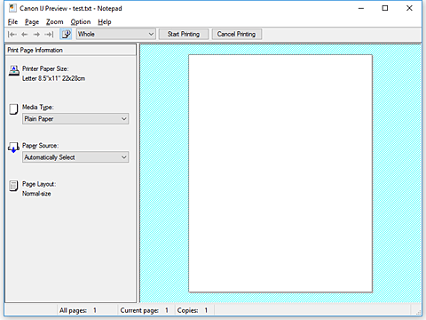 şekil: Canon IJ Önizleme