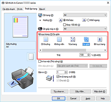 hình: Chọn Co giãn cho Bố cục trang trên tab Thiết lập trang