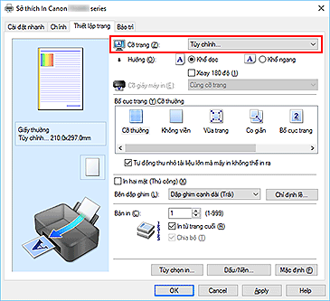 hình: Chọn Tùy chỉnh cho Cỡ trang trên tab Thiết lập trang