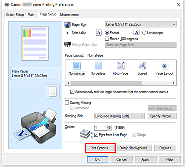 фигура: „Print Options...” в раздела „Page Setup”