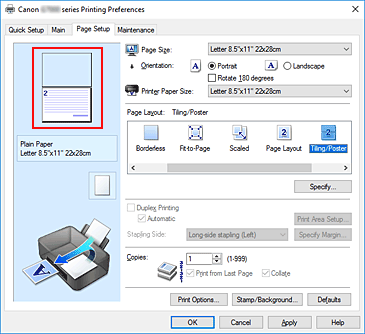 Imagen: vista preliminar de la configuración que aparece en la ficha Configurar página