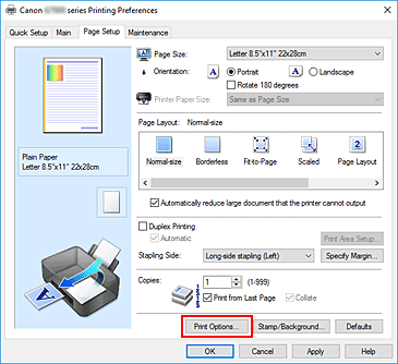 slika: možnost Print Options... na kartici Page Setup