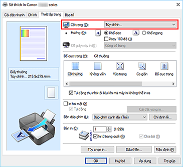 hình: Chọn Tùy chỉnh cho Cỡ trang trên tab Thiết lập trang