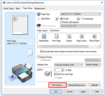 фигура: &bdquo;Print Options...&rdquo; в раздела &bdquo;Page Setup&rdquo;