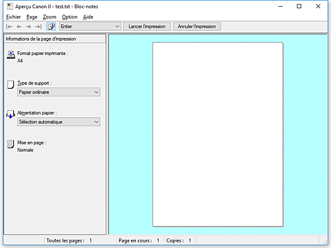 figure&nbsp;: Aperçu Canon IJ