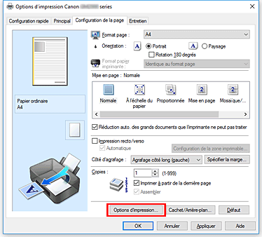 figure&nbsp;: Options d'impression... dans l'onglet Configuration de la page