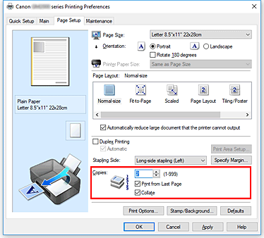 figura:Copies din fila Page Setup