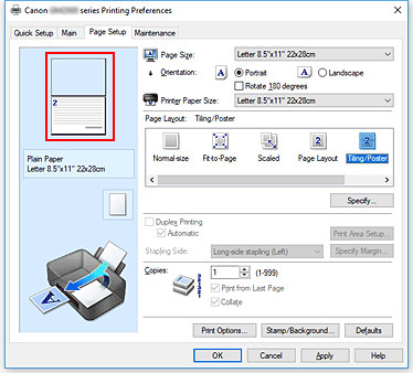 figura:Examinarea de setări afişată în fila Page Setup