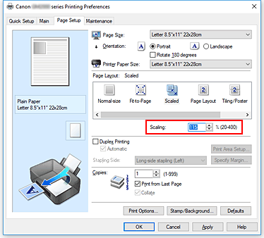 figura:Scaling din fila Page Setup