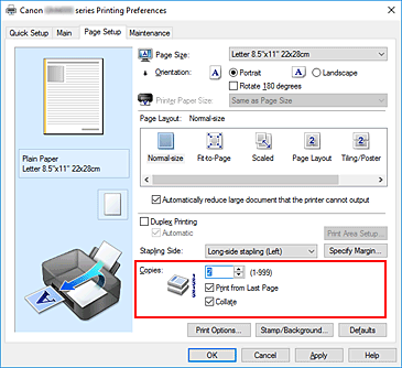 figure:Copies on the Page Setup tab