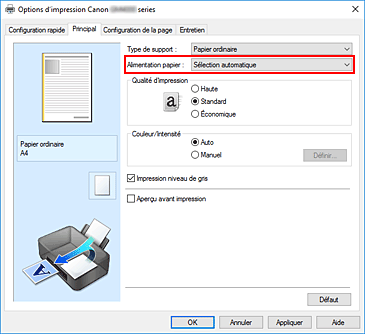 figure&nbsp;: Alimentation papier dans l'onglet Principal