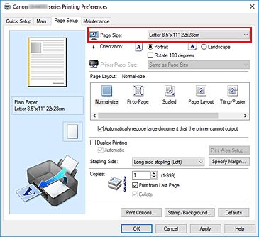 figura:Page Size din fila Page Setup