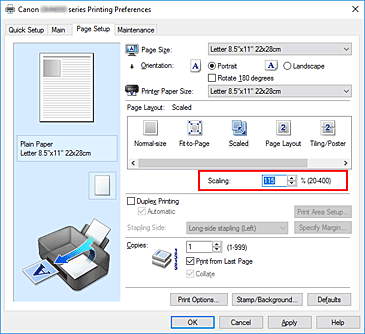 figura:Scaling din fila Page Setup