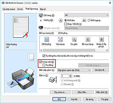 hình: Hộp kiểm In hai mặt trên tab Thiết lập trang