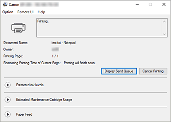 Imagen: Monitor de estado Canon IJ