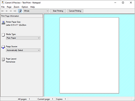 Imagen: Vista preliminar de Canon IJ
