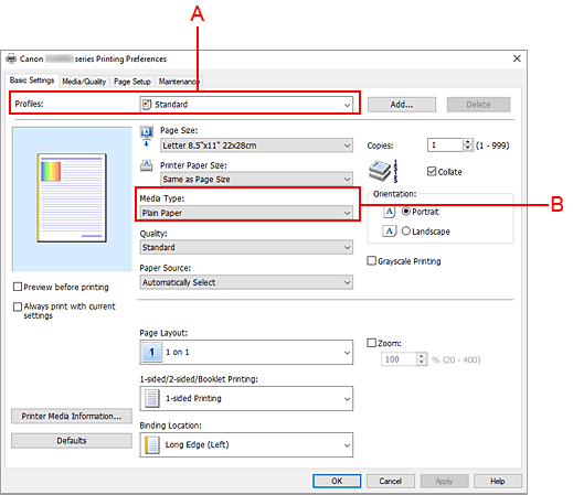 Imagen:Perfiles en la ficha Configuración básica
