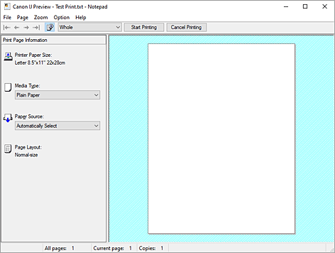 figur: Canon IJ-forhåndsvisning