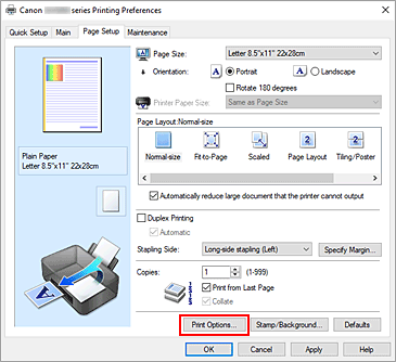 slika: možnost Print Options... na kartici Page Setup