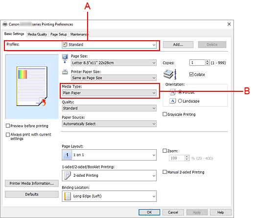 Imagen:Perfiles en la ficha Configuración básica