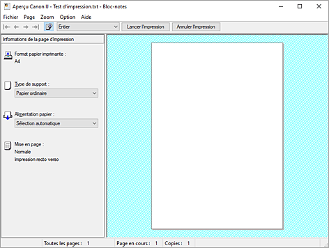 figure&nbsp;: Aperçu Canon IJ