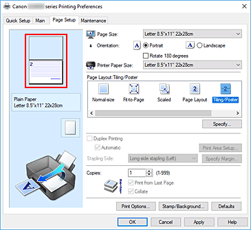 pav.: Parametrų peržiūros rodinys puslapio sąrankos skirtuke