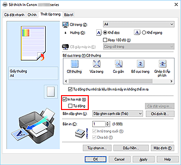 hình: Hộp kiểm In hai mặt trên tab Thiết lập trang