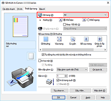 hình: Cỡ trang trên tab Thiết lập trang