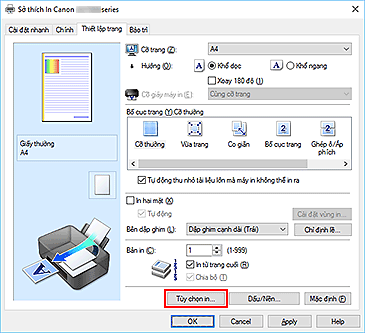 hình: Tùy chọn in... trên tab Thiết lập trang
