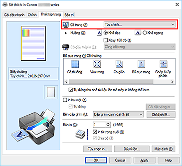 hình: Chọn Tùy chỉnh cho Cỡ trang trên tab Thiết lập trang