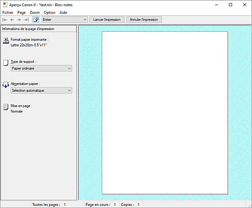 figure&nbsp;: Aperçu Canon IJ