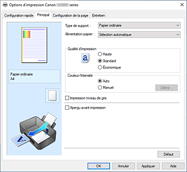 figure&nbsp;: Onglet Principal