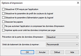 figure&nbsp;: Boîte de dialogue Options d'impression