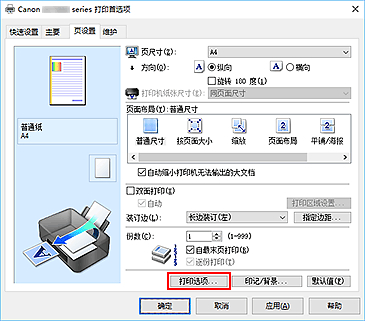 插图：“页设置”选项卡上的“打印选项...”