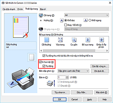 hình: Hộp kiểm In hai mặt trên tab Thiết lập trang