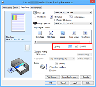 figura:Scaling din fila Page Setup