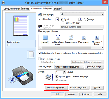 figure : Options d'impression... dans l'onglet Configuration de la page