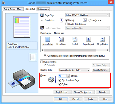 figure:Copies on the Page Setup tab